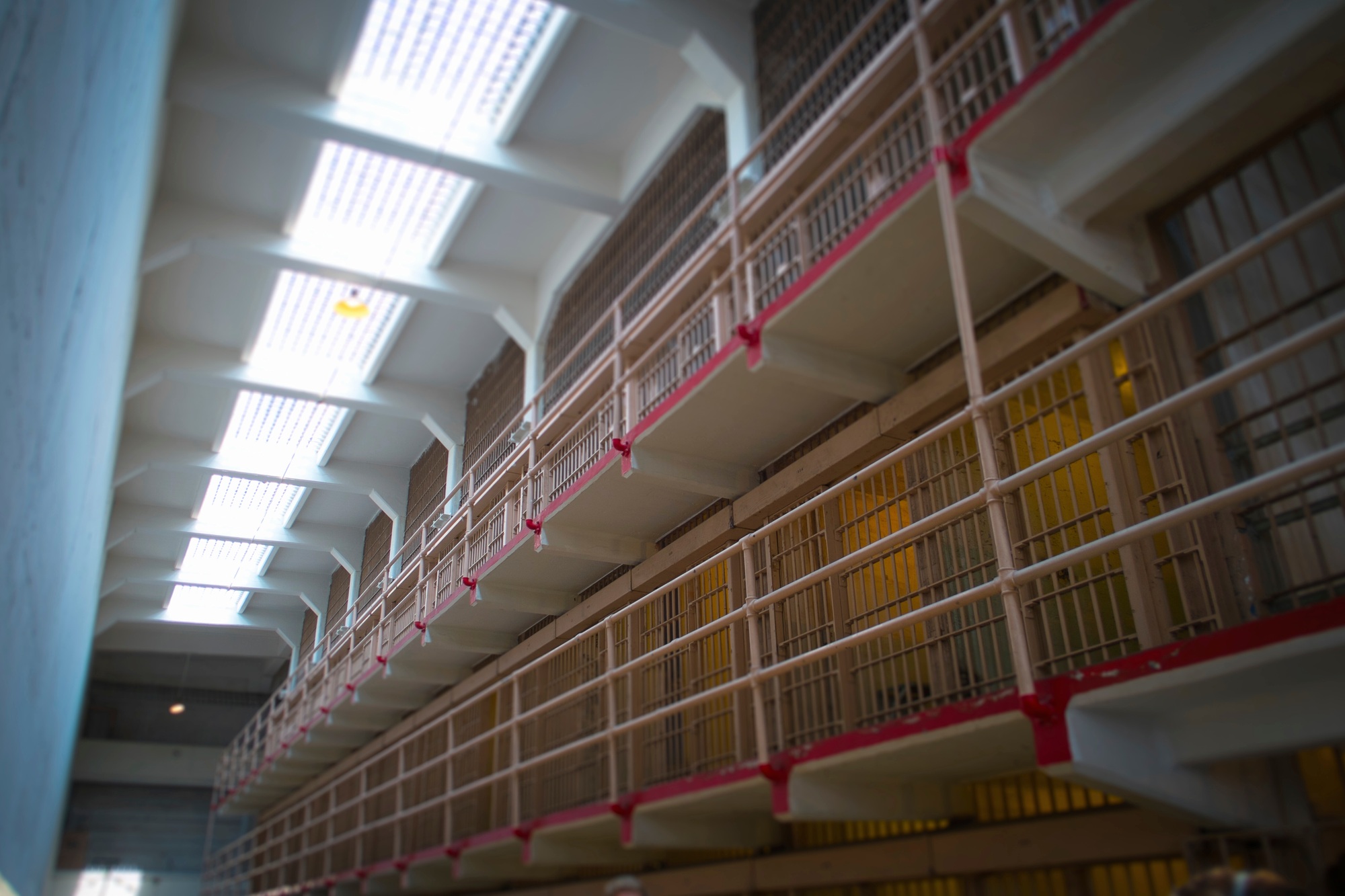 Metamora Films Is Distributing Documentaries on America's Criminal Justice System